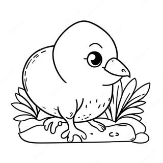 Page A Colorier Dun Mignon Oiseau Kiwi 37614-29745