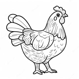 Poulet Pour Adultes Pages À Colorier