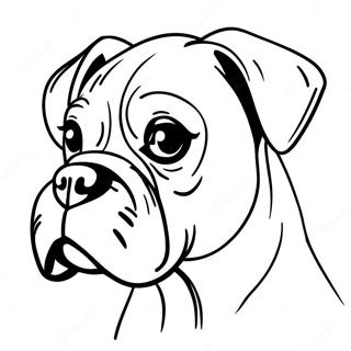 Page A Colorier De Chien Boxer 9690-7798