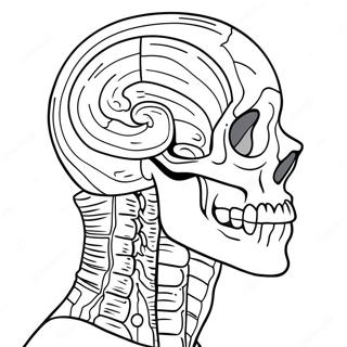 Science Pages À Colorier