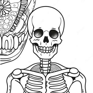 Anatomie Pages À Colorier